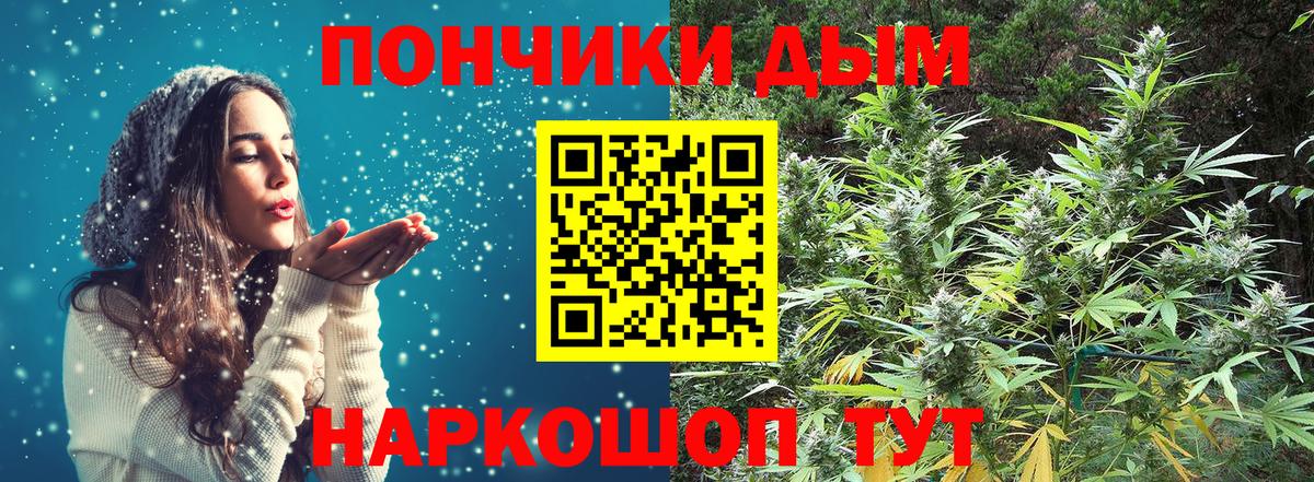 Марихуана SATIVA & INDICA  Конопля планчик  Канабис семена  Шуя  Вход с VPN 